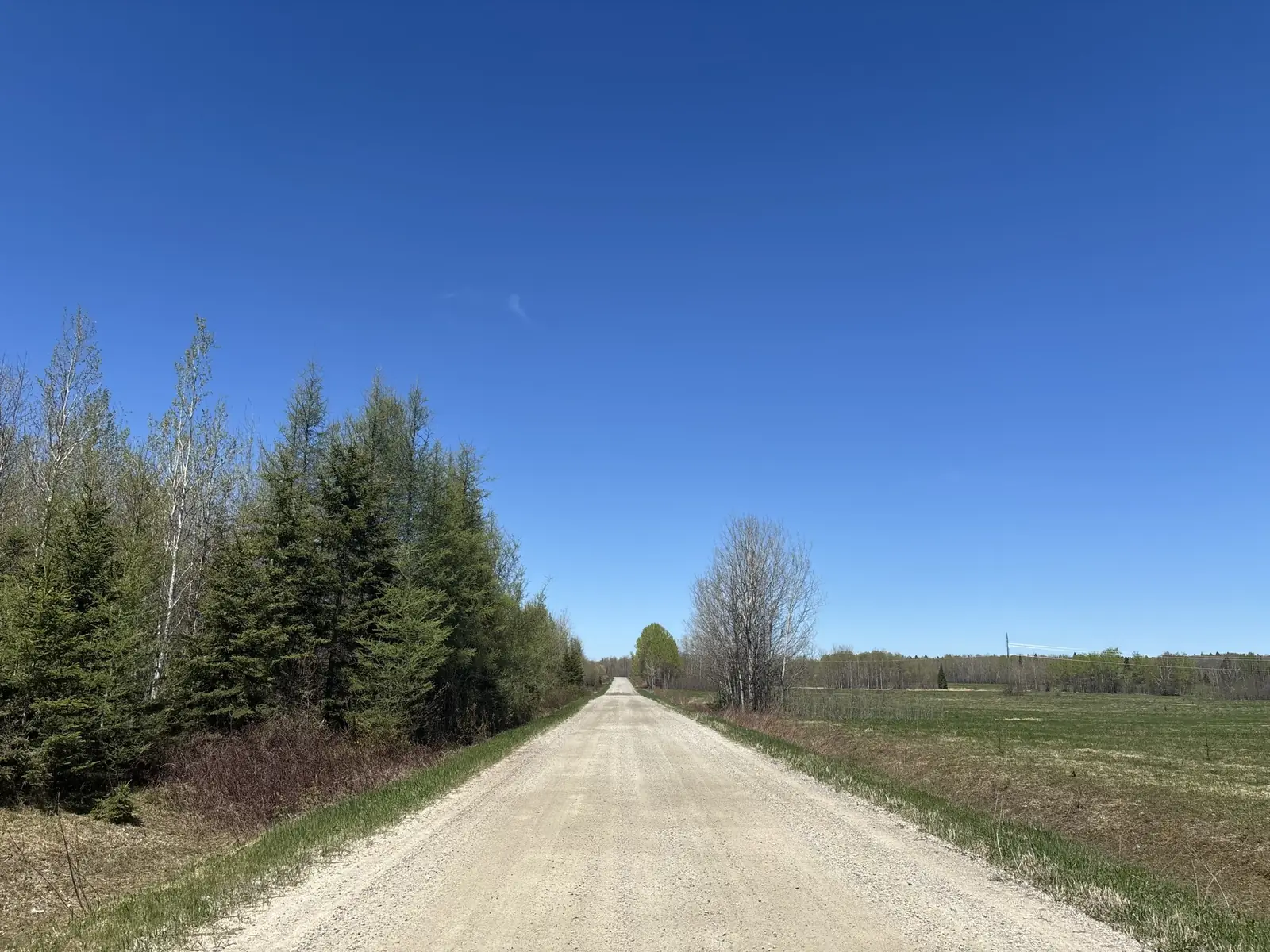 9 Ski Hill Rd, Moonbeam, ON