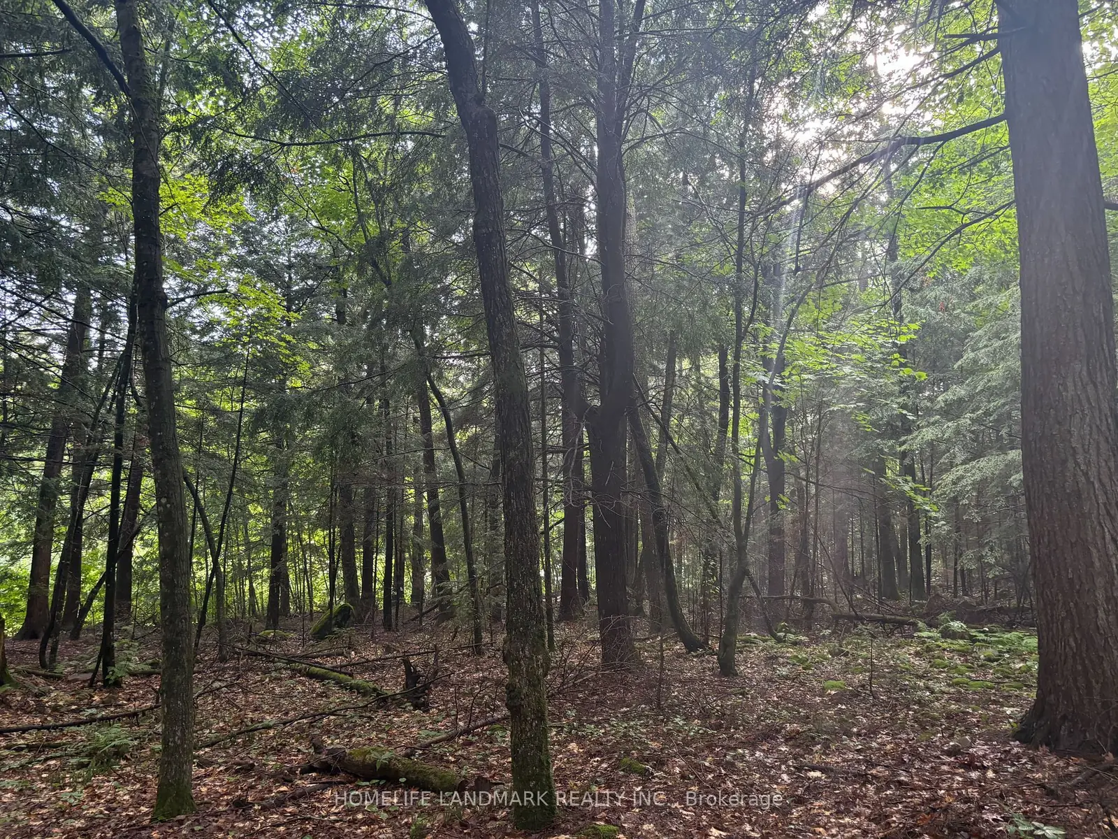 153 Acres Parcel 18476, Timmins, ON