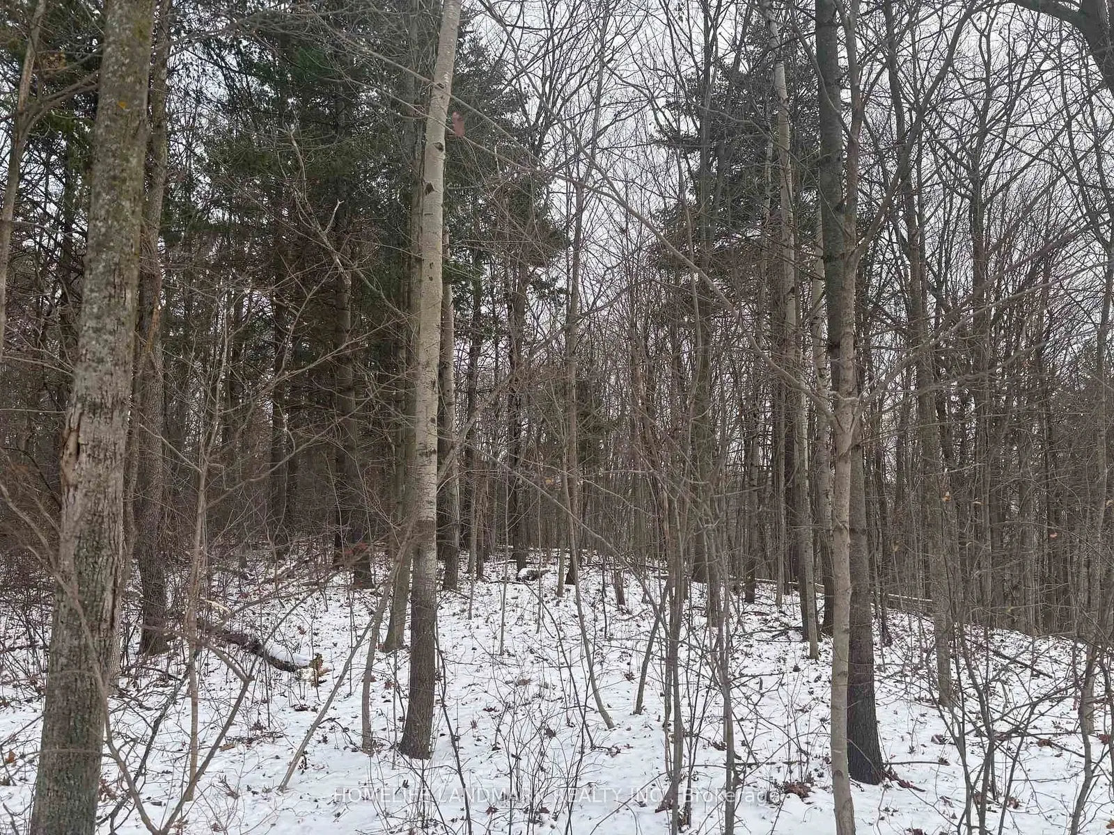 LT 45 CON 7 EBR Lindsay, Northern Bruce Peninsula, ON